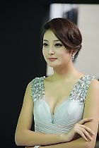 宫阙春迟